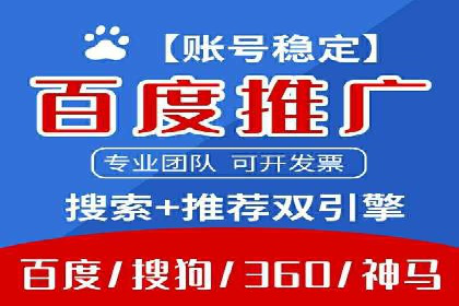 百度推广全攻略：成功案例剖析